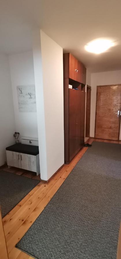 Fortress View Apartment 벨로그라드첵 외부 사진